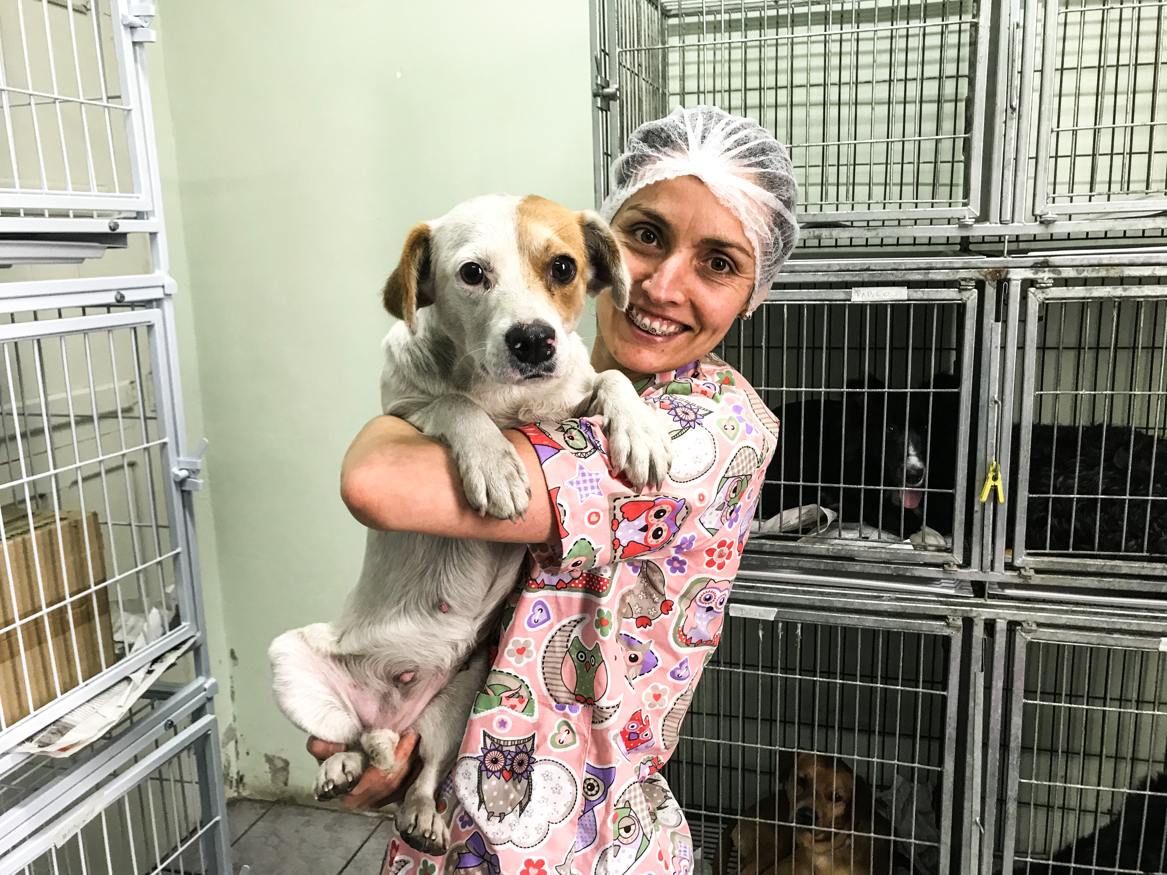 Programa de Controle Populacional de Cães e Gatos abrange bichos de rua e domiciliados por famílias de baixa renda