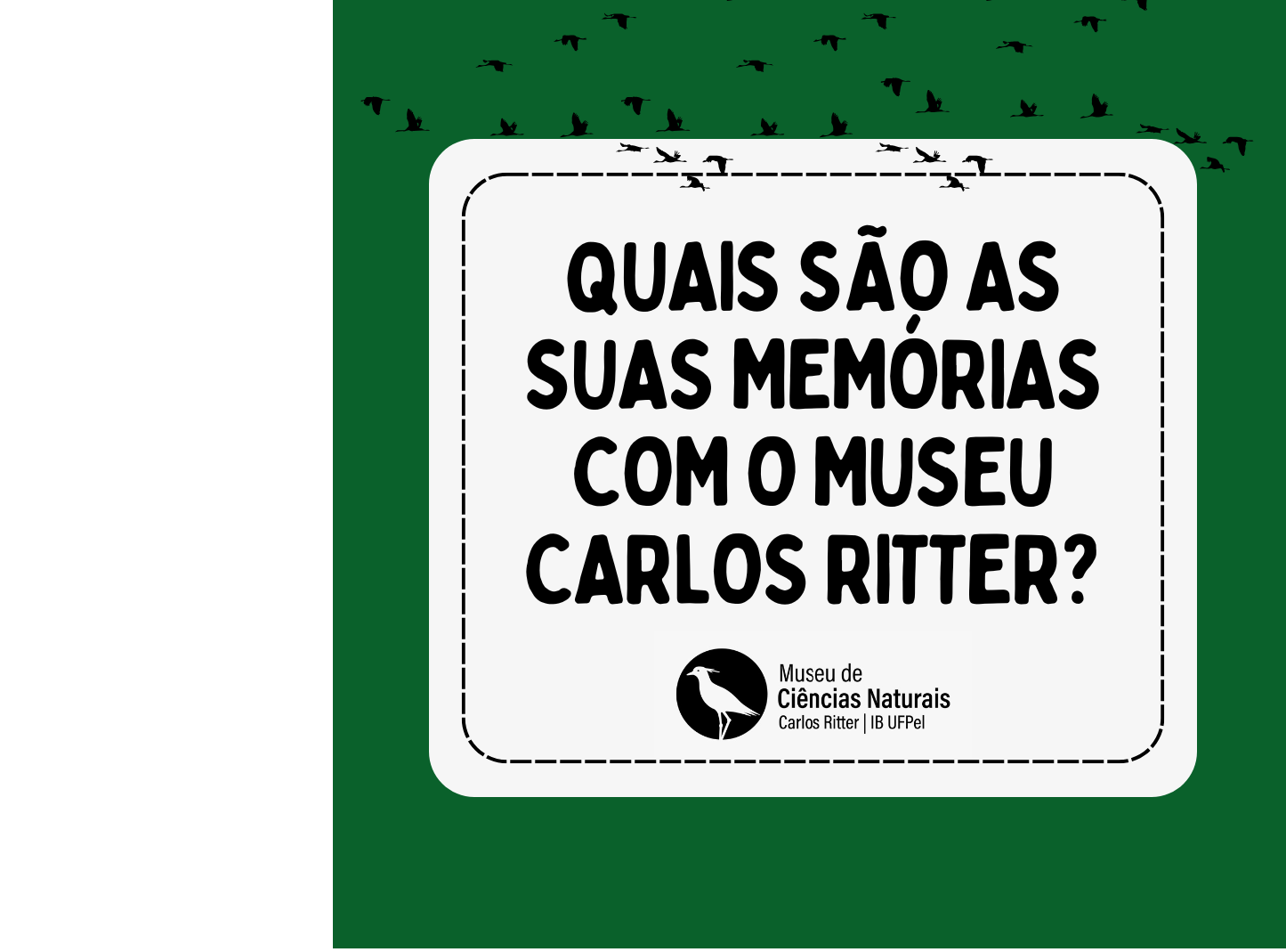 Instituição, vinculada à UFPel desde 1991, completa 55 anos e quer conhecer as memórias da comunidade pelotense