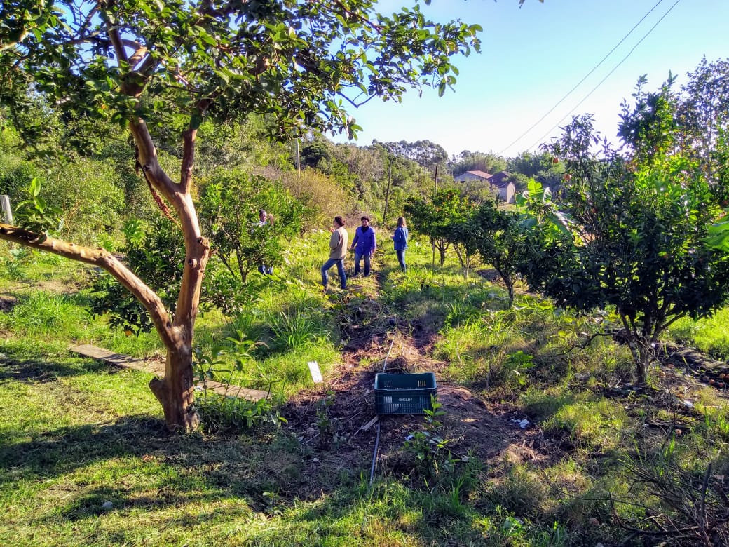 Entidades assistenciais podem receber e alimentos para atender pessoas em situação de vulnerabilidade