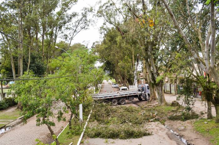 Além das árvores atingidas por temporais, equipe realizou podas e supressões agendadas