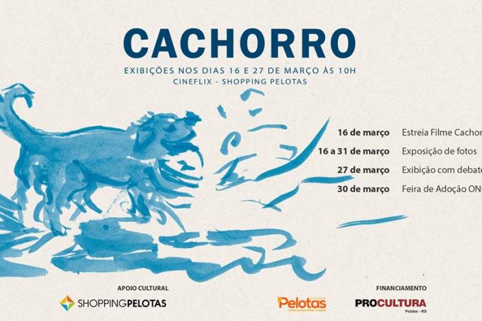 Filme sobre cães de rua foi produzido pela Noz Audiovisual