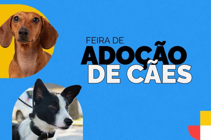 Adoção responsável e cultura local têm destaque no evento promovido pela Secretaria de Qualidade Ambiental, no Parque da Baronesa