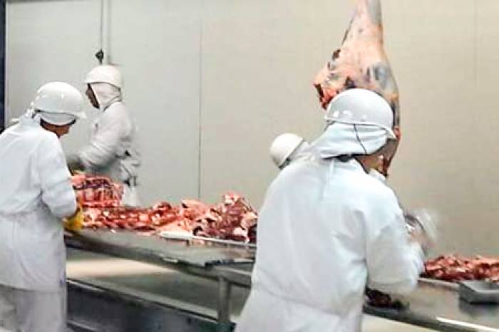 Produção de oito empresas é referente ao balanço do mês de maio