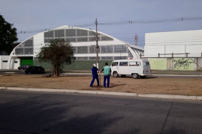 Período de plantio vai até o fim de agosto e a arborização ocorre em todas as regiões de Pelotas