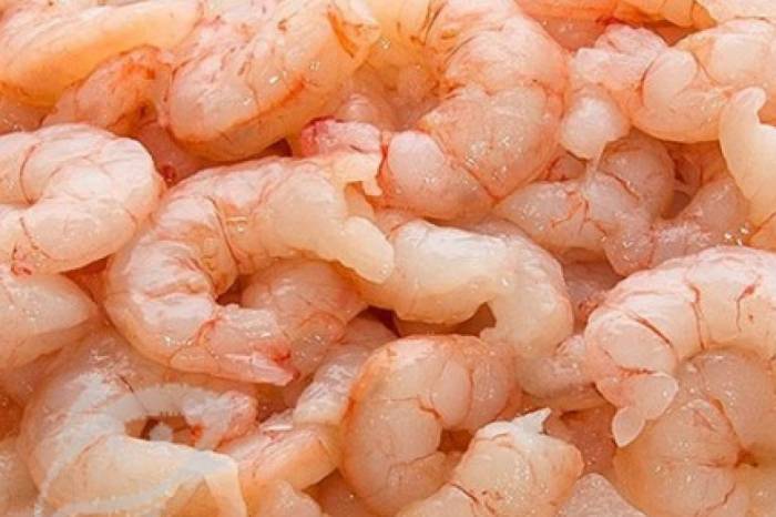 A produção experimental será sem água salgada