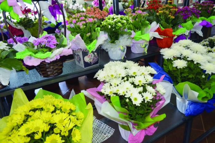 Secretaria de Gestão lista os 14 vendedores que poderão comercializar flores nos dias 1º e 2 de novembro, na Duque de Caxias