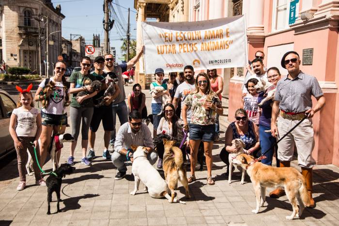 Animais passearam pelo Centro Histórico