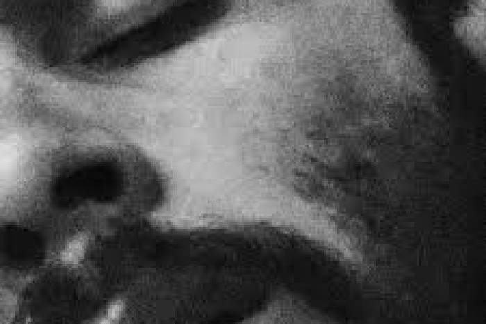A mostra fotográfica da artista Thiéle Elissa, de Novo Hamburgo, tem entrada franca e conta com acessibilidade para cegos