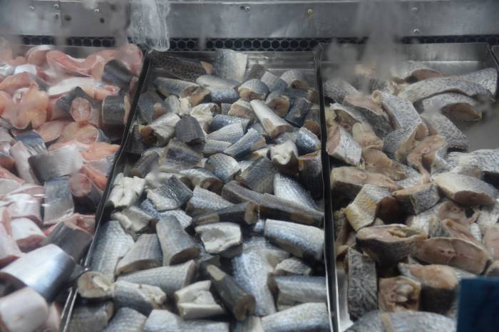 Comercialização estará a cargo de pescadores feirantes cadastrados nas entidades associativas