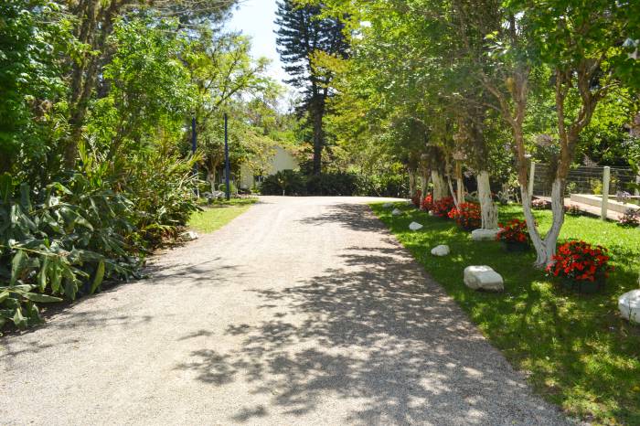 Sítio Panamar, no Monte Bonito, abre as porteiras para festa caipira, no dia 7, com fogueira e atrações