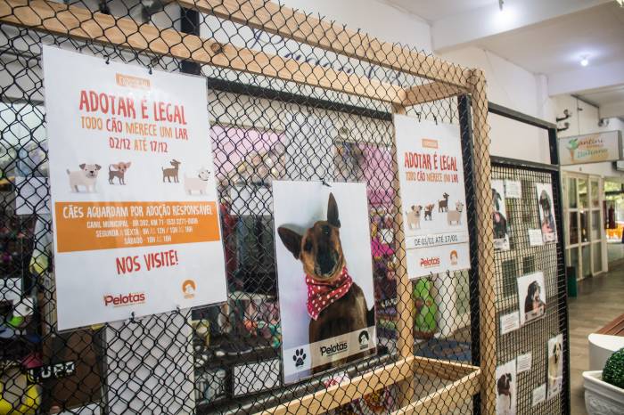 Fotografias podem ser conferidas na parte interna do Shopping Mar de Dentro