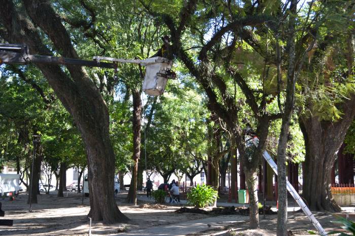Serviço pode ser solicitado através da Ouvidoria municipal ou na Secretaria de Qualidade Ambiental