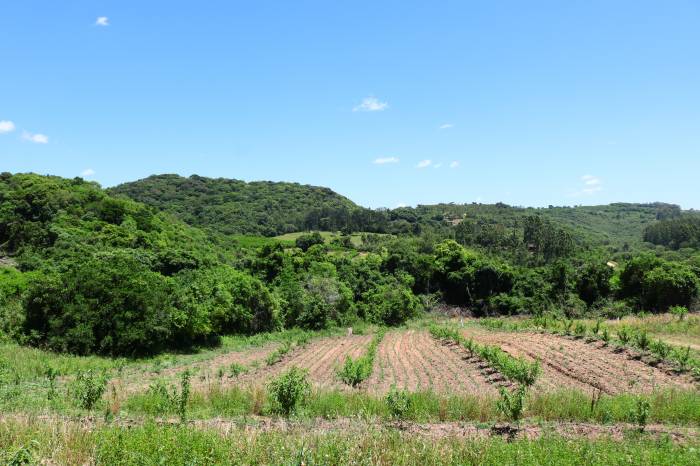Encontro está marcado para esta sexta-feira (6), no Salão Nobre da Associação Rural de Pelotas