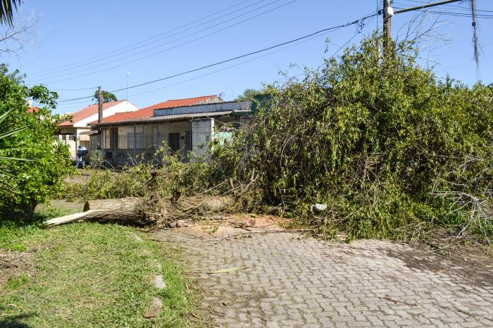Equipes continuam com o trabalho de corte para remoção