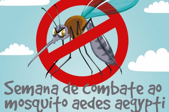 Ação vai de 17 a 21 de fevereiro e será realizada nas escolas municipais e estaduais de Pelotas