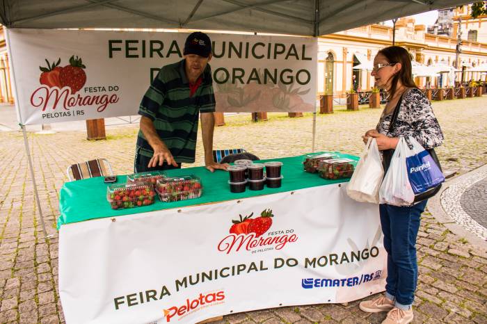 Até a próxima sexta-feira (13), consumidores terão oportunidade de adquirir a fruta diretamente do produtor