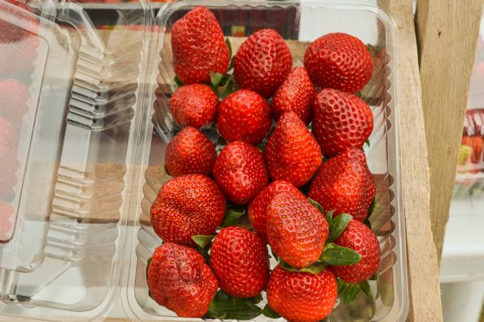 Produção continua e venda é mantida no Largo do Mercado, Shopping Pelotas, Parque Dom Antônio Zattera e Guabiroba