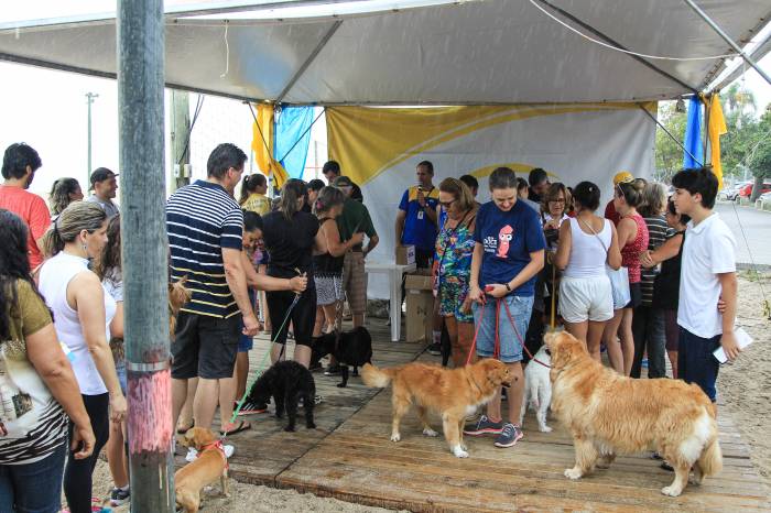 Prefeita Paula leva seus cães para participarem do evento
