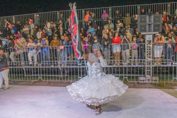 Distribuição de senhas de acesso à arquibancada no Carnaval 2026 tem nova data