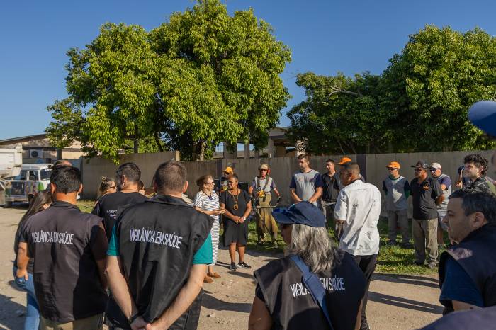 Pelotas fecha janeiro com apenas um caso de dengue