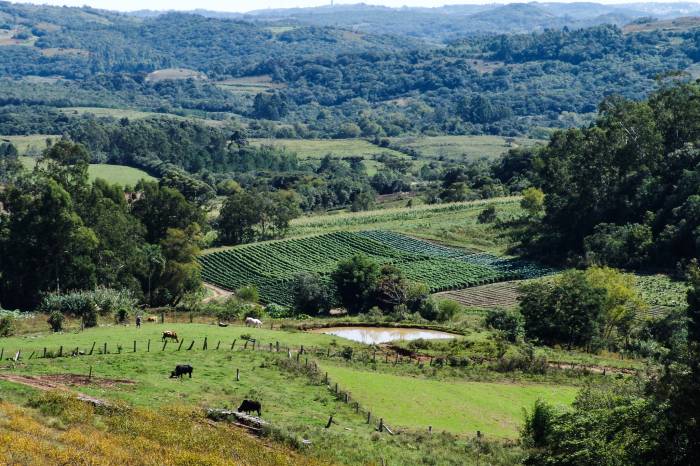 Zona rural será a grande beneficiada