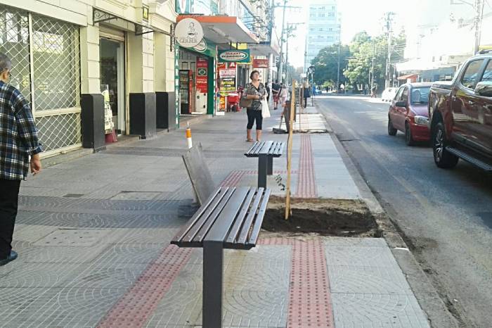 Arborização, bancos e lixeiras formam conjuntos para conforto da população