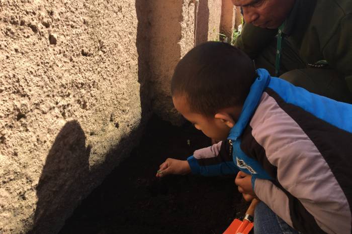 Atividade alusiva ao Dia da Árvore foi promovida pela Ecosul no Centro de Assistência Social da Prefeitura