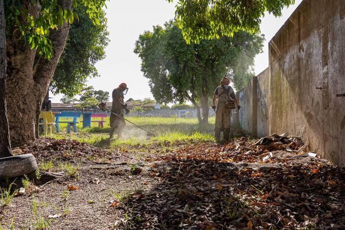 Seguem em estabilidade os casos de dengue em Pelotas