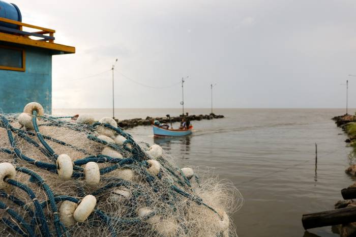 Cerca de 650 pescadores devem ser beneficiados com a safra, que acontecerá até o mês de maio