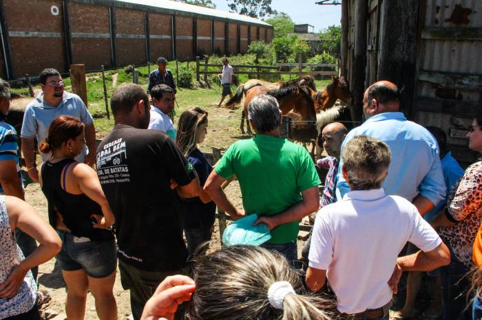 A partir das 14h do dia 9 de julho, 16 animais terão a chance de ganhar um novo lar