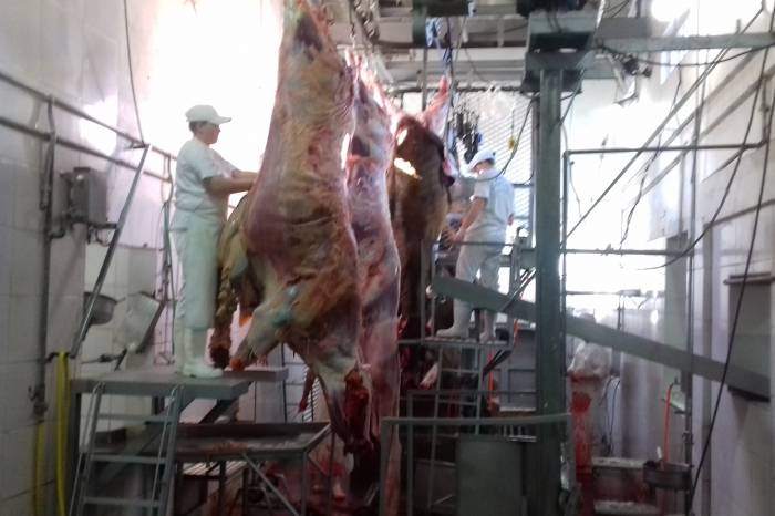 Em oito abatedouros registrados, a produção foi de mais de 325 toneladas de carnes e vísceras