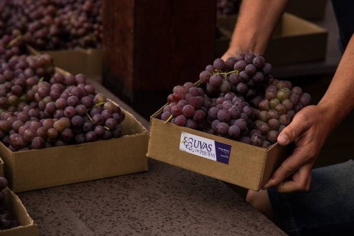 Uma das novidades deste ano é que o consumidor poderá pagar suas compras com cartão