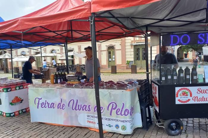 15ª Feira de Uvas de Pelotas registra queda de mais de 49% de comercialização em relação a 2024