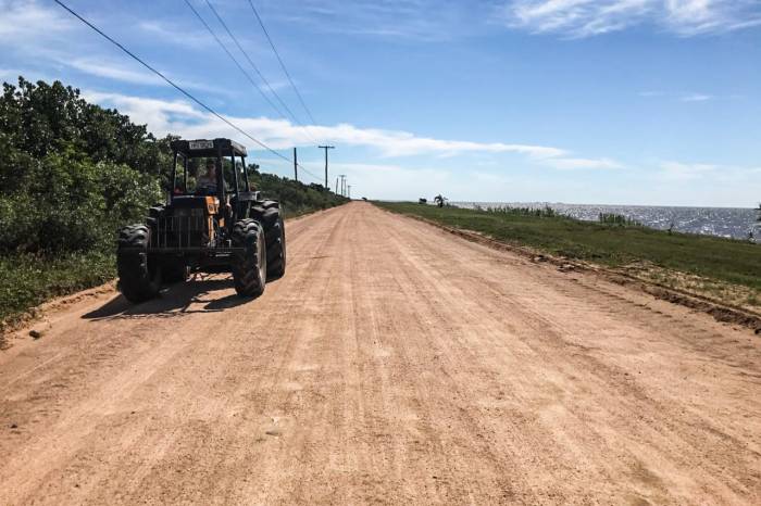 Temporada de plantio estende-se até o final do mês de agosto