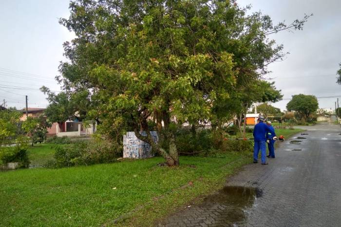 Equipes da Secretaria de Qualidade Ambiental estiveram na Guabiroba e na Vila Hilda