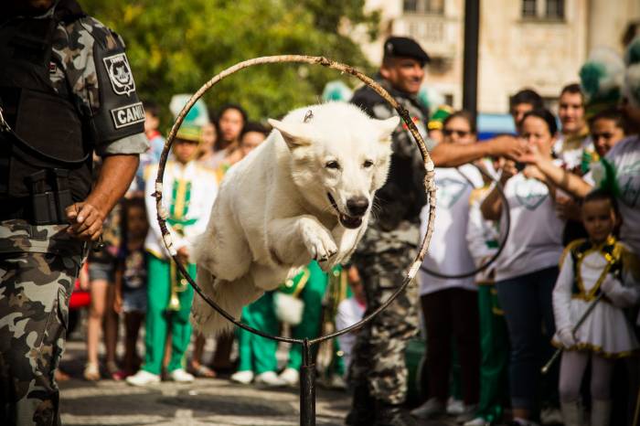 Durante abertura do evento, prefeita anunciou a manutenção do serviço de castração de cães e gatos para 2020