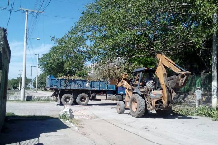Equipes atuam no bairro Três Vendas