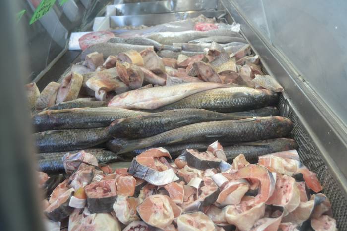 Prefeita Paula Mascarenhas assinará Decreto regulamentando a Feira do Peixe durante o evento na Z3
