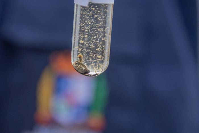 Município permanece com apenas um registro da doença este ano. No entanto, Secretaria de Saúde adverte para a incidência de focos do Aedes aegypti