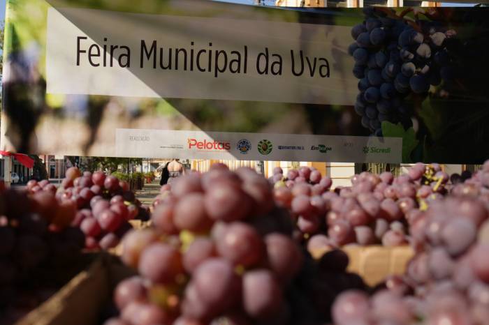 Comercialização direta do produtor ao consumidor estendeu-se por duas semanas