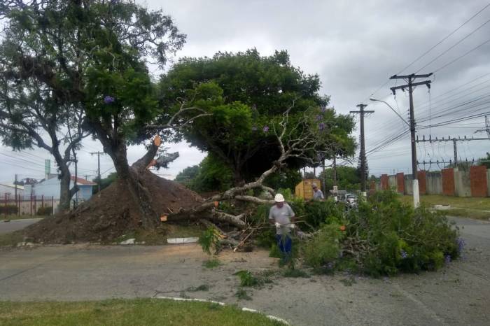 Supressão foi necessária para passagem da nova galeria pluvial