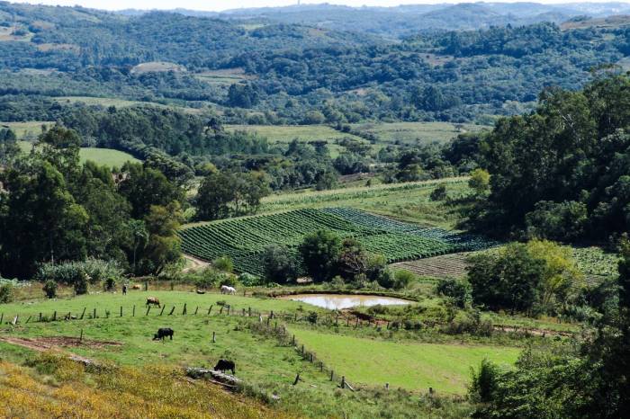 Prefeitura, por meio da Secretaria de Desenvolvimento Rural, estará presente na reunião de conselho de secretários municipais do setor