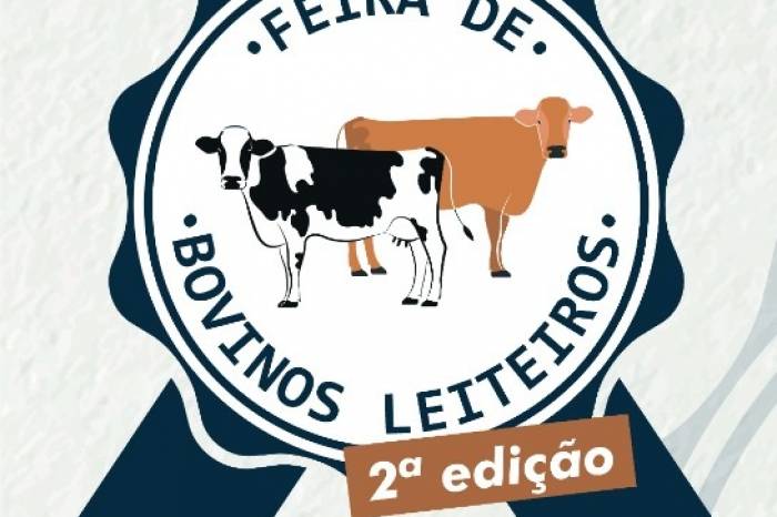 Comissão define atrações e horários da programação
