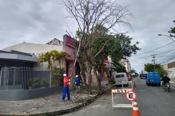 Caminhão Munk contém sistema hidráulico para içamento e remoção e vai facilitar o trabalho da equipe da Secretaria de Qualidade Ambiental
