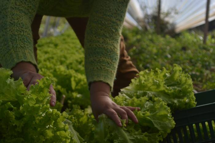 Termo de compromisso garantirá R$ 400 mil do Governo Federal para a compra de produtos da agricultura familiar