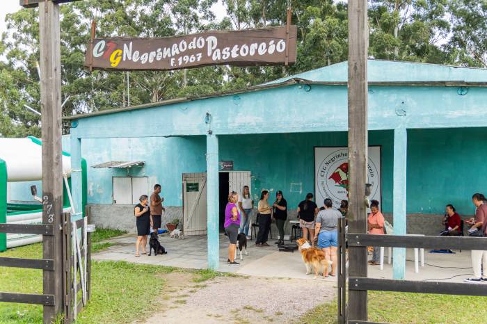 Castramóvel realiza 43 castrações no primeiro dia no Areal Fundos