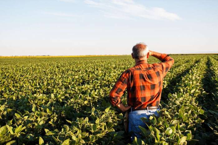 Workshop Agro Inovação ocorre na quarta-feira, a partir das 13h45min