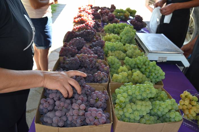 Feira itinerante estará em diversos bairros; consumidor poderá comprar as variedades diretamente do produtor