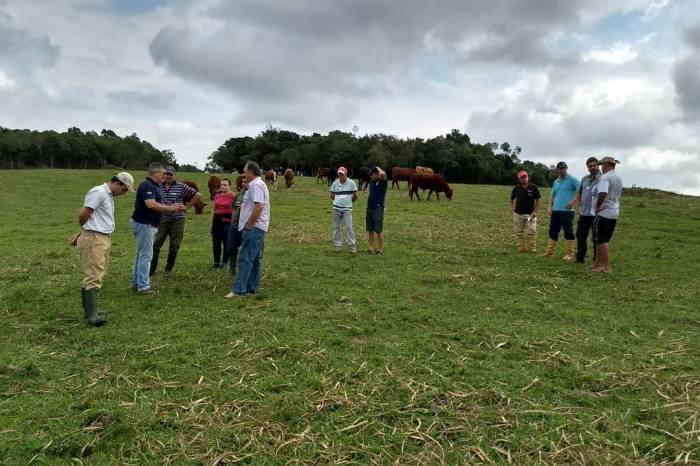 Emater coordena reuniões técnicas, com a participação da SDR, da UFPel e da Embrapa