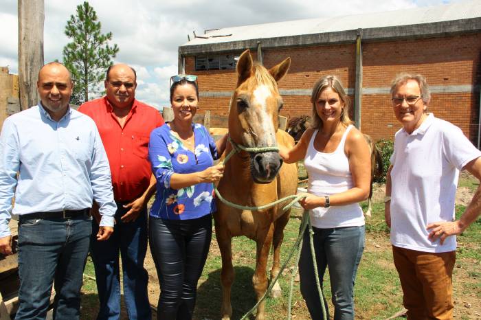 Primeira oportunidade de adoção em 2018 se destacou pela beleza dos cavalos